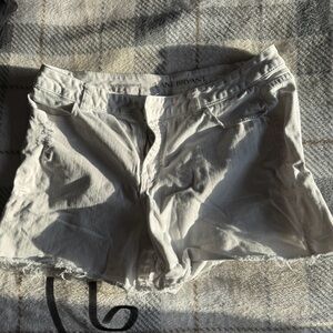 Lane Bryant Women's White Shorts